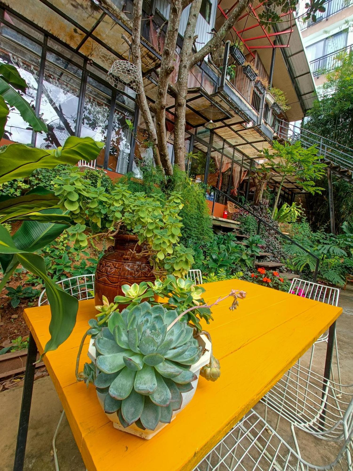 Lalaland Homestay دالات الغرفة الصورة